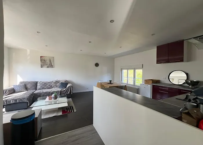 Calme Et Paisible Au Bord De La Rivière Appartement Ernée